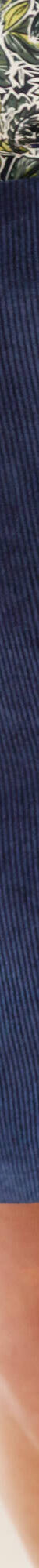 Jupe trapèze en velours (marine) Jupe trapèze en velours (marine)